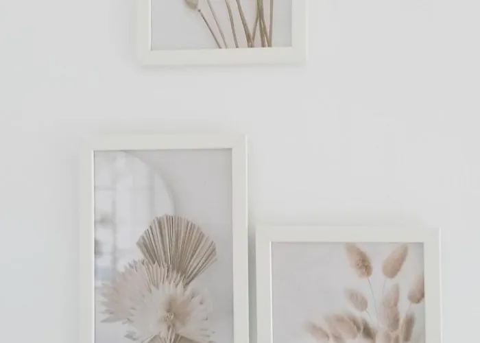 Appartamento àtico En Nova Oliva